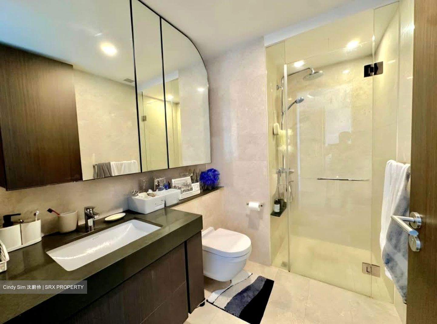 Avenue South Residence (D3), Apartment #592494991